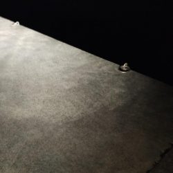 釣れる時に釣る