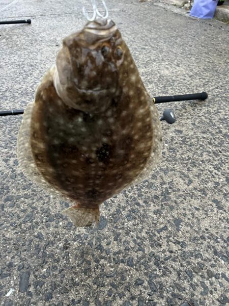 カマス釣りが楽し過ぎ