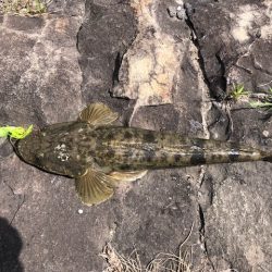 大潮ど干潮釣行