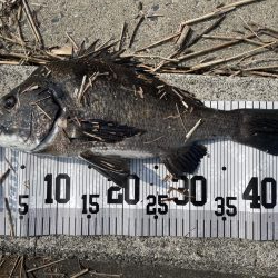 イチノ兄弟、釣果!