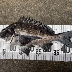 イチノ兄弟、釣果！