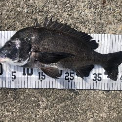 イチノ兄弟、釣果！