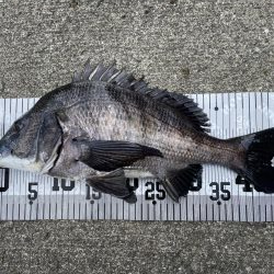 イチノ兄弟、釣果!