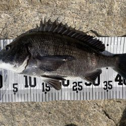 イチノ兄弟、釣果!