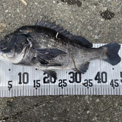 イチノ兄弟、釣果！