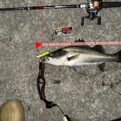 はじめてちゃんとバチ抜けパターンやれた！