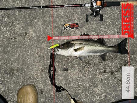 はじめてちゃんとバチ抜けパターンやれた！