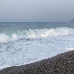 サーフでサゴシ