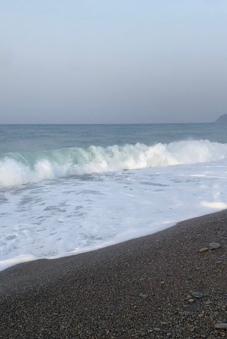 サーフでサゴシ