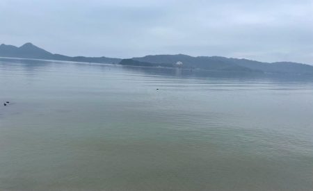 ヤリイカ終盤戦