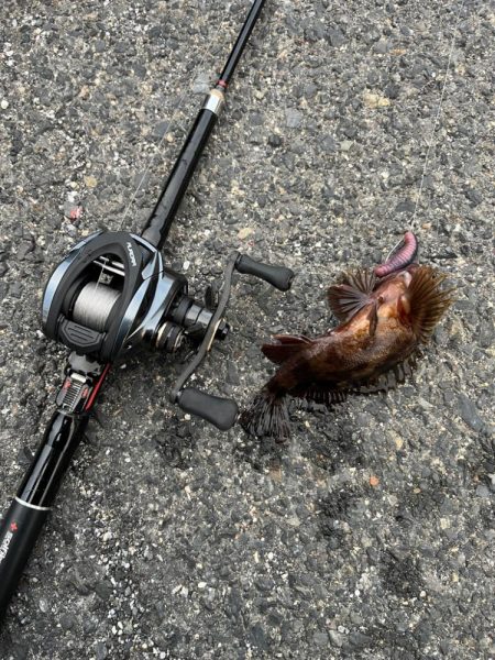 春のライトロック