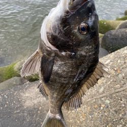 ストレートフック活躍