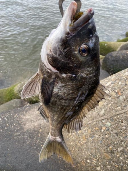 ストレートフック活躍