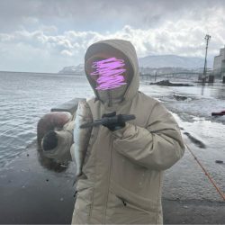 ホッケッケのケー