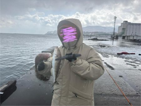 ホッケッケのケー