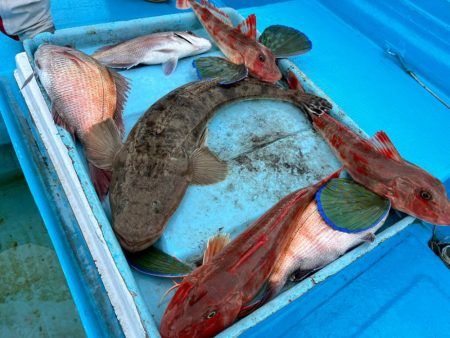 和歌山にタイラバ〜