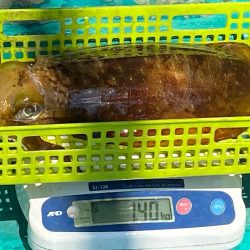 キロアップ2ハイ