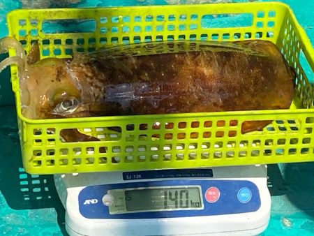 キロアップ2ハイ