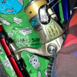 早朝のアジ釣りで10匹GET