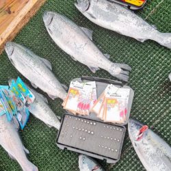 サーモン/脈釣り