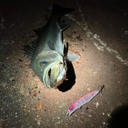 サイズは良いが、ガリガリ君