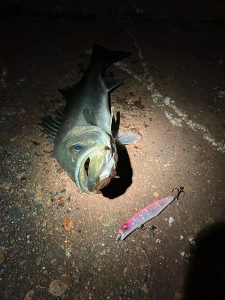 サイズは良いが、ガリガリ君