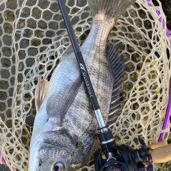 雨上がりチニング！