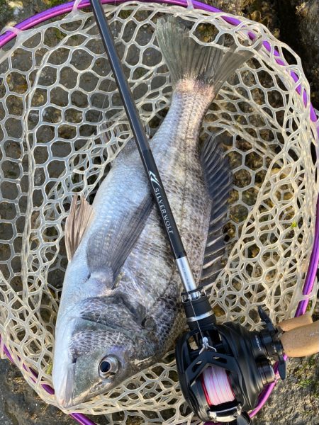 雨上がりチニング！