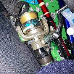 早朝のアジ釣りで14匹GET