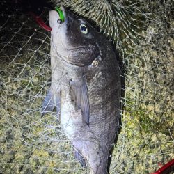 寒すぎました…