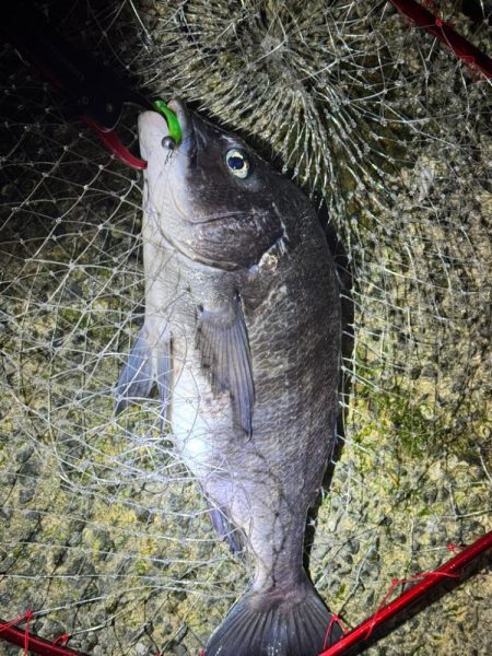 寒すぎました…