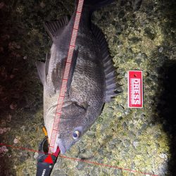 先行者さんのおかげです!!