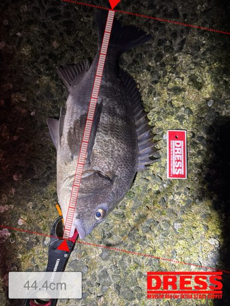 先行者さんのおかげです!!