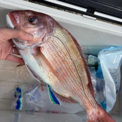 伊勢湾ジギング