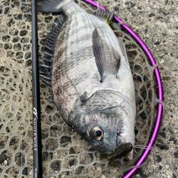 ぽかぽか快適チニング！