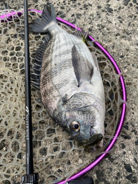 ぽかぽか快適チニング！