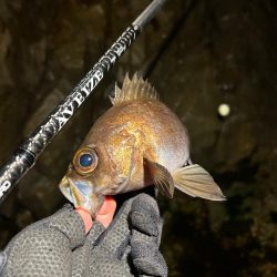 フロートメバリング!