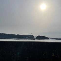 夜明け朝まずめ