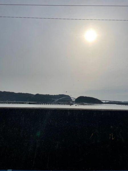 夜明け朝まずめ