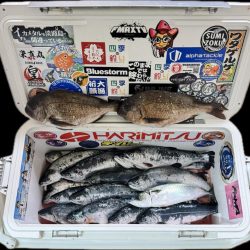 サーモン/脈釣り