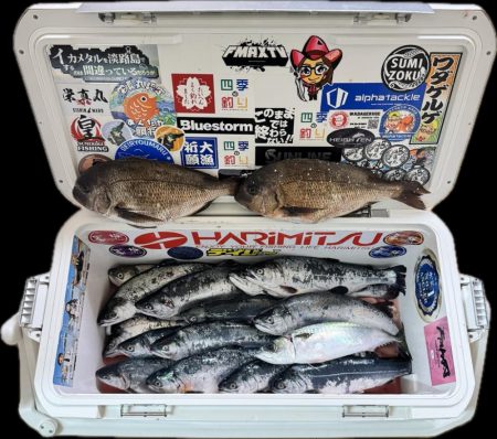 サーモン/脈釣り