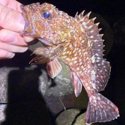 寒い！寒すぎる！