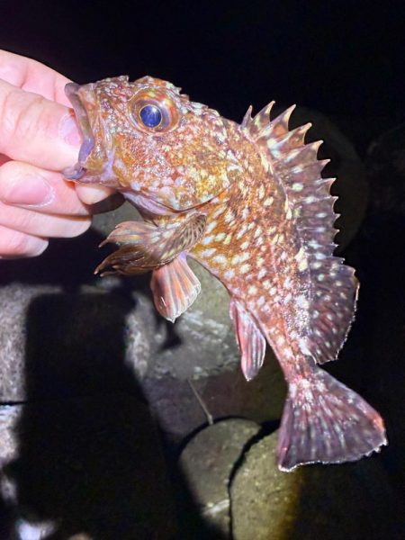 寒い！寒すぎる！