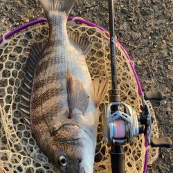 夕まずめチニング!