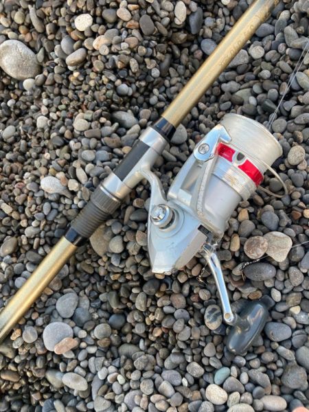 朝マズメのサーフでアジ釣りで7匹GET