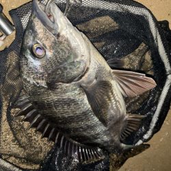 ヘチってきました