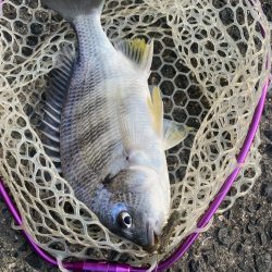 夕方2時間チニング！