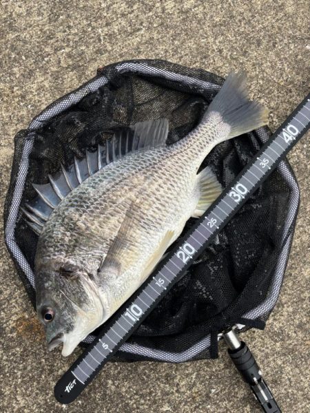 ヘチってきました