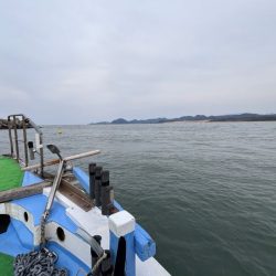 鳥取港近海アジサビキ｜雨の影響か？激渋で撃沈！