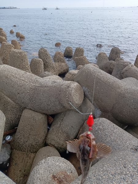 テトラ穴釣り、カサゴ良釣